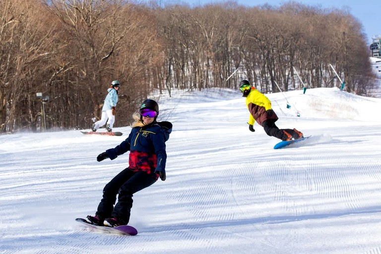 Vacation Rentals (United States of America, Wintergreen Resort, Virginia)