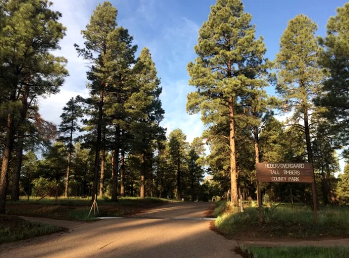 Cabins (United States of America, --, Arizona)