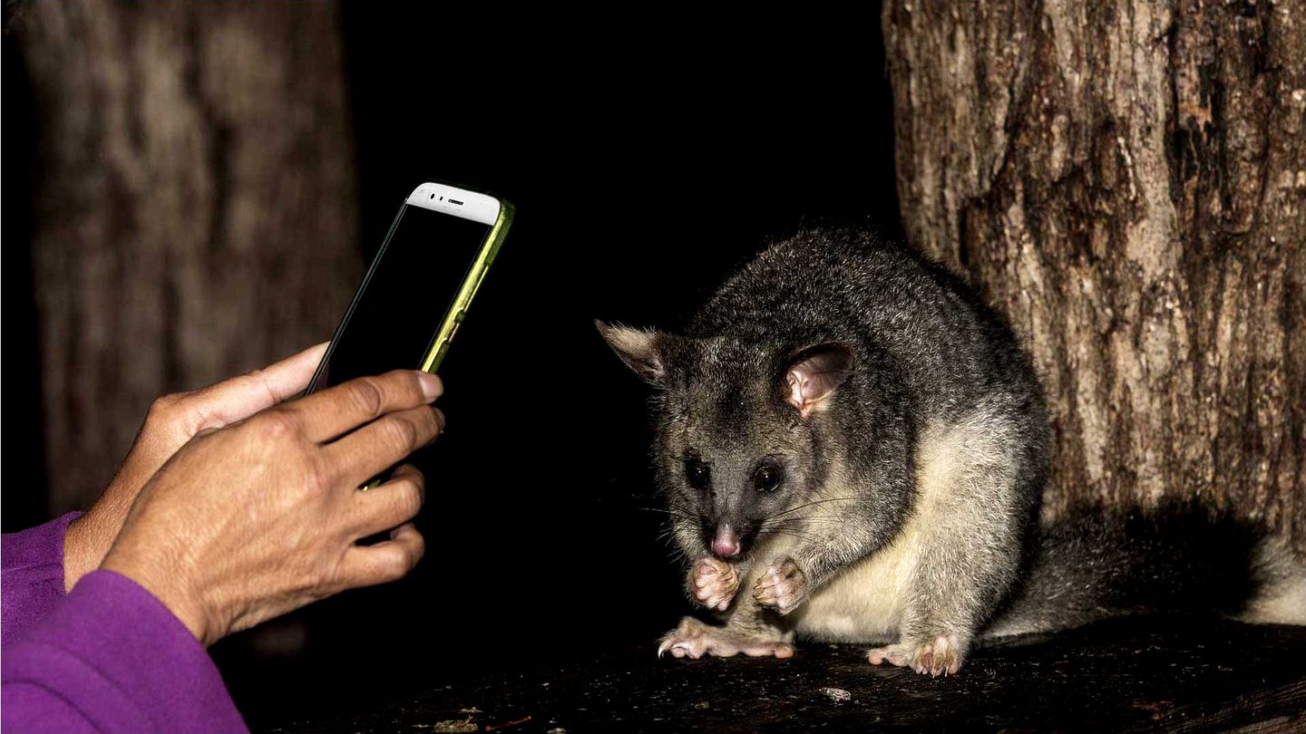 Sensational Vacation Rental with Spectacular Views in Youngs Siding, Australia