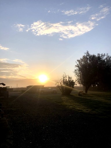 Cabins (United States of America, Lynden, Washington)