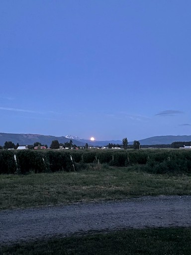Cabins (United States of America, Lynden, Washington)