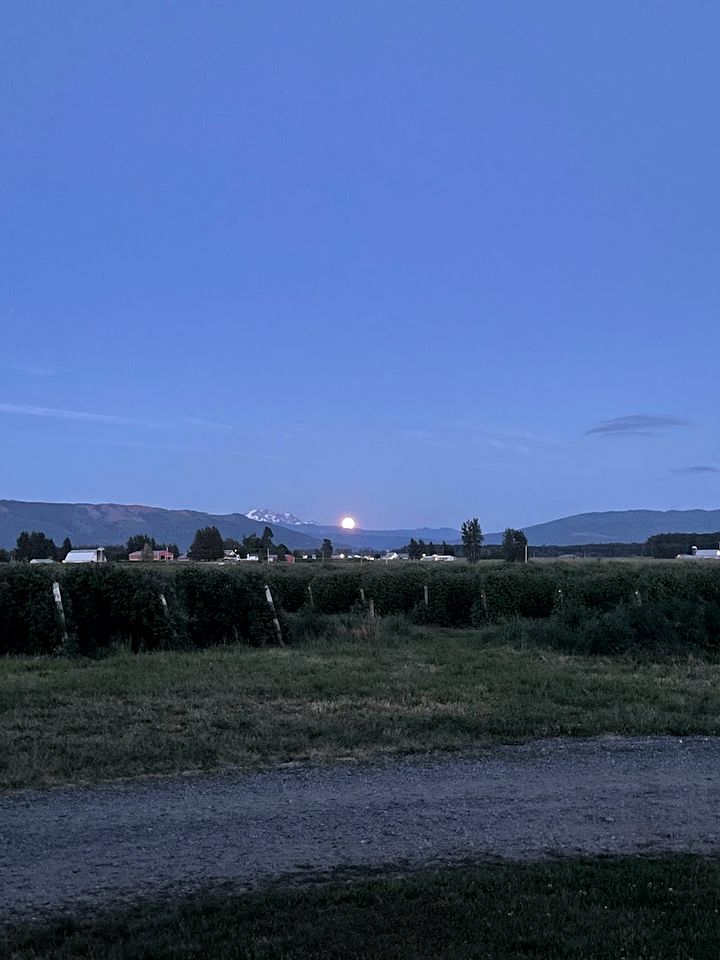 Wonderful Cabin with Fire Pit and Barbecue in Lynden, Washington