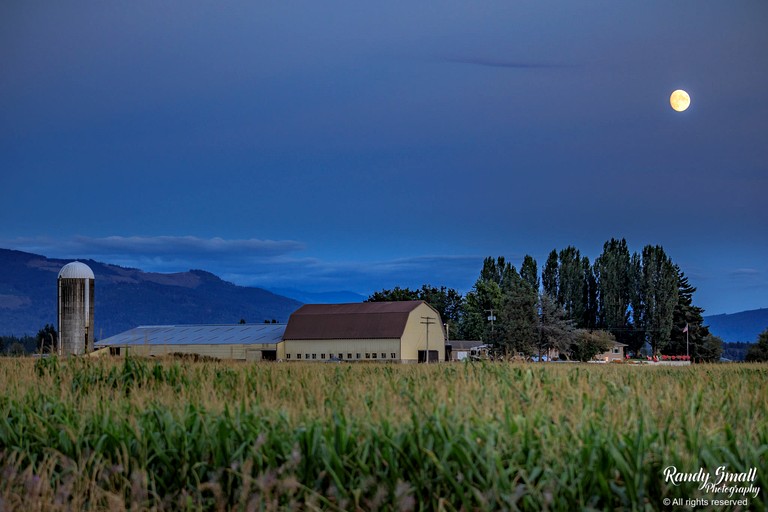 Cabins (United States of America, Lynden, Washington)