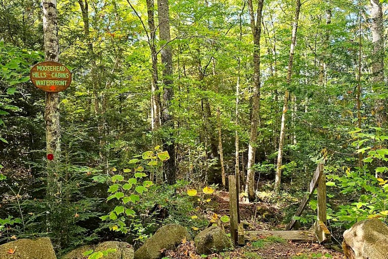 Cabins (United States of America, Greenville, Maine)
