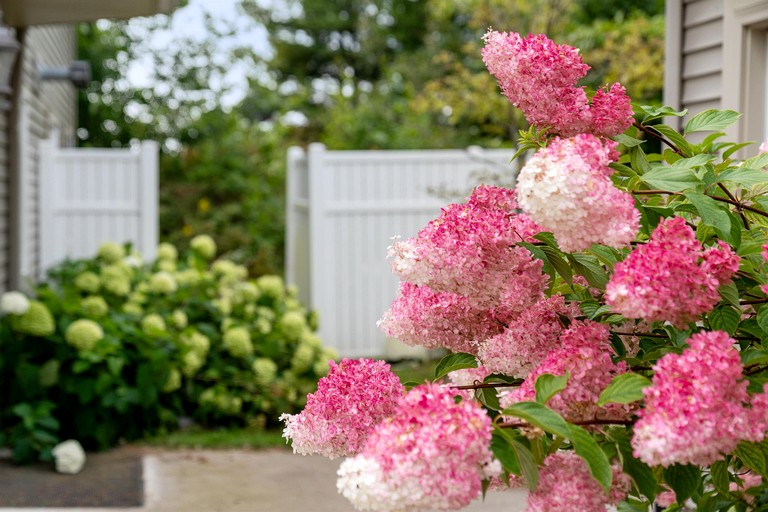 Cottages (United States of America, Moran, Michigan)