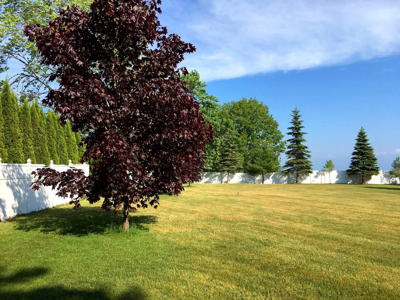 Wonderful Cottage with Lake Access and Great Views in Moran, Michigan