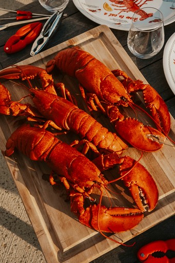 Domes (Canada, Flatlands, New Brunswick)