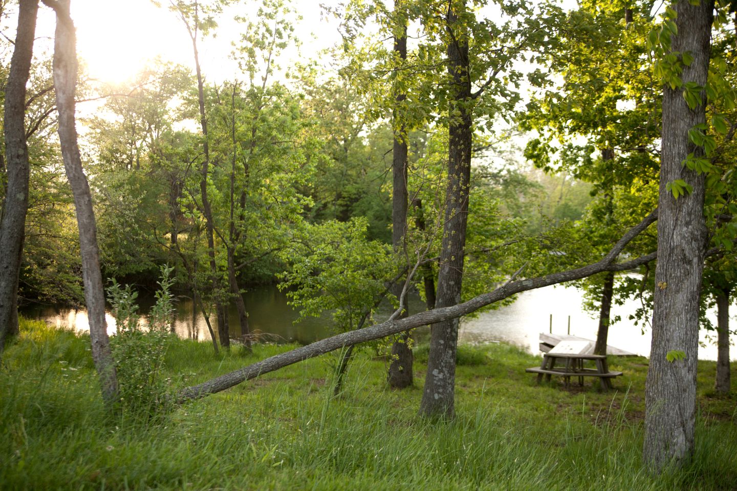 Wonderful Lakefront Cabin with Hot-tub in Carbondale, Illinois