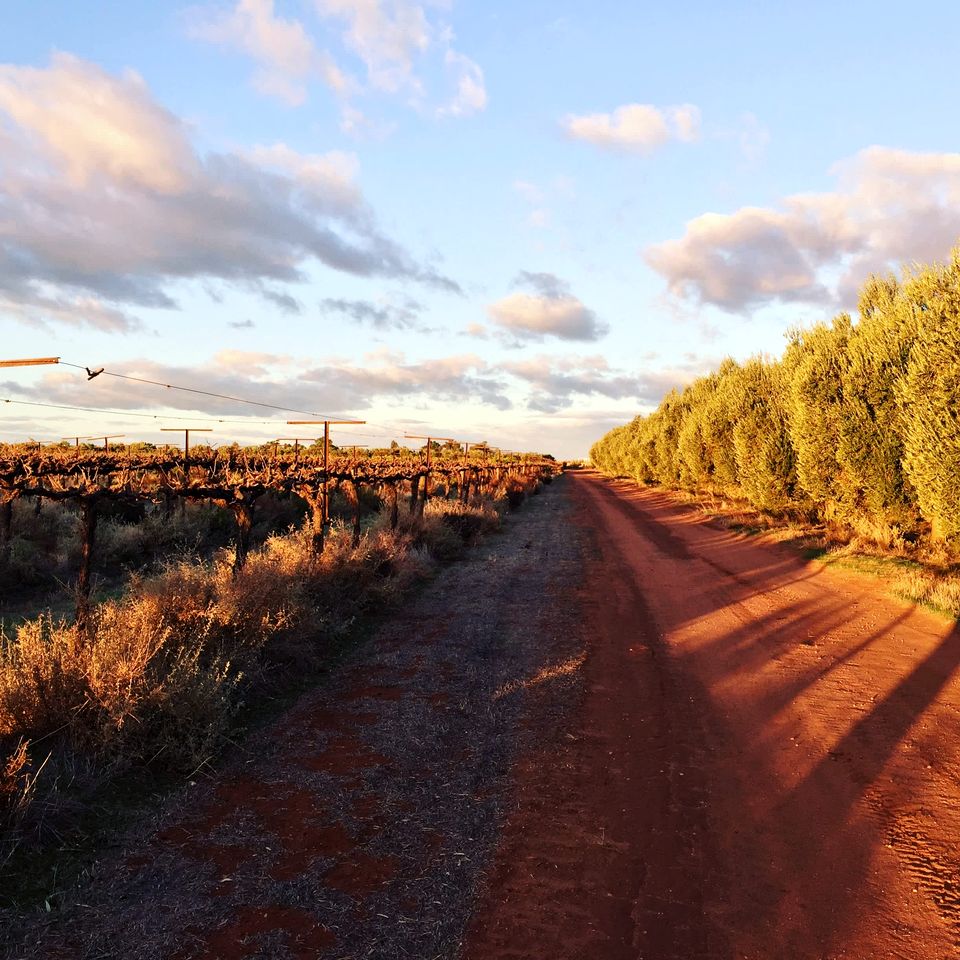 Wonderful Off-Grid Tiny House on Working Farm in Lake Boga, Australia