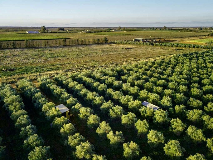 Tiny Houses (Australia, Lake Boga, Victoria)