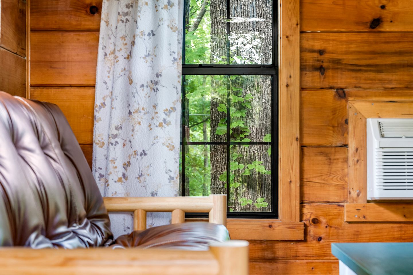 Wonderful Secluded Cabin with Hot-tub in Sevierville, Tennessee