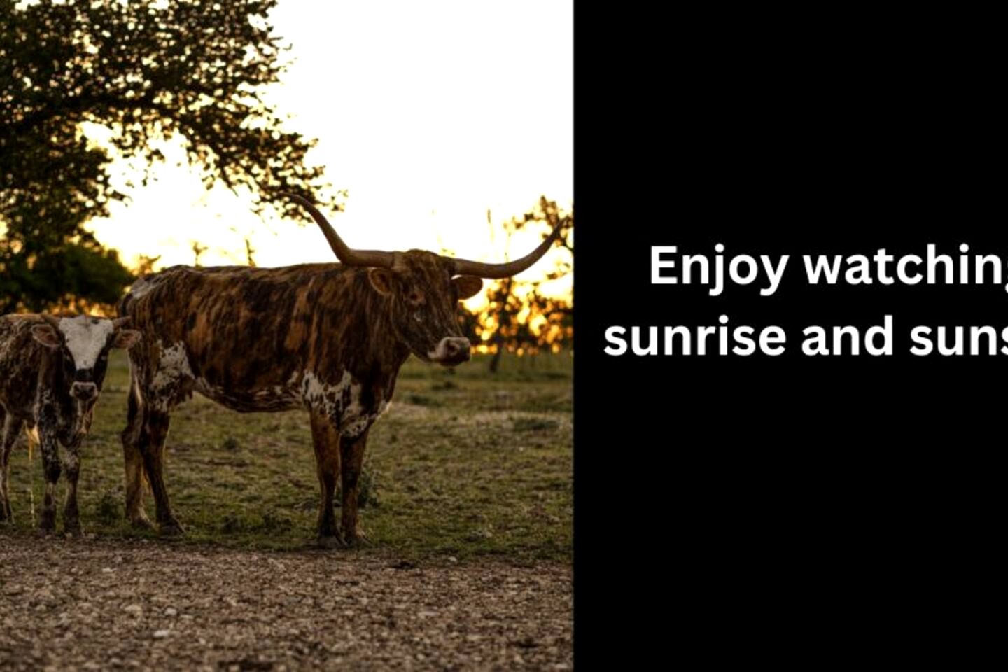 Wonderful Secluded Container in Fredericksburg, Texas
