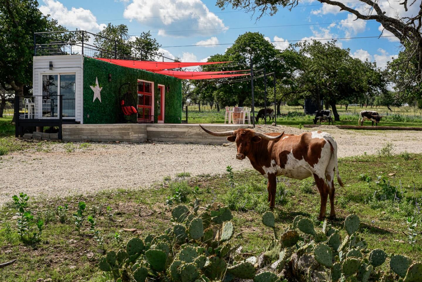 Wonderful Secluded Container in Fredericksburg, Texas