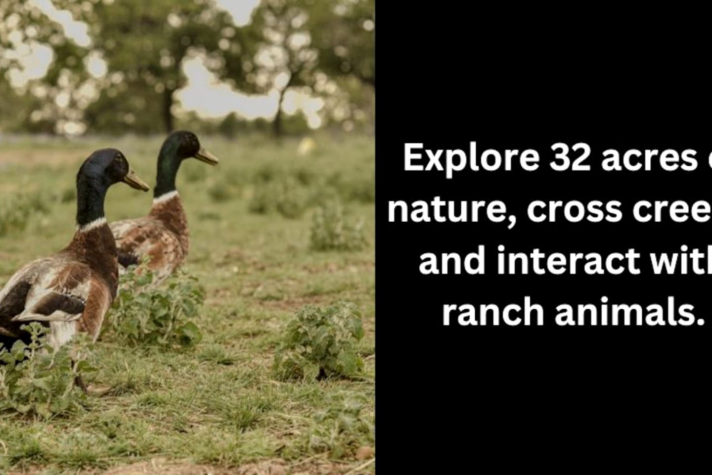 Wonderful Secluded Container in Fredericksburg, Texas