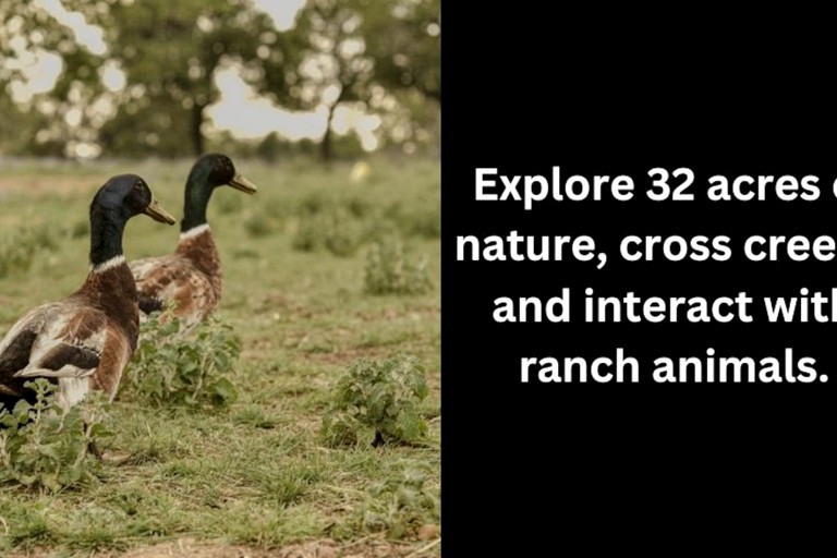 Containers (United States of America, Fredericksburg, Texas)