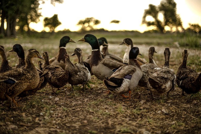 Containers (United States of America, Fredericksburg, Texas)