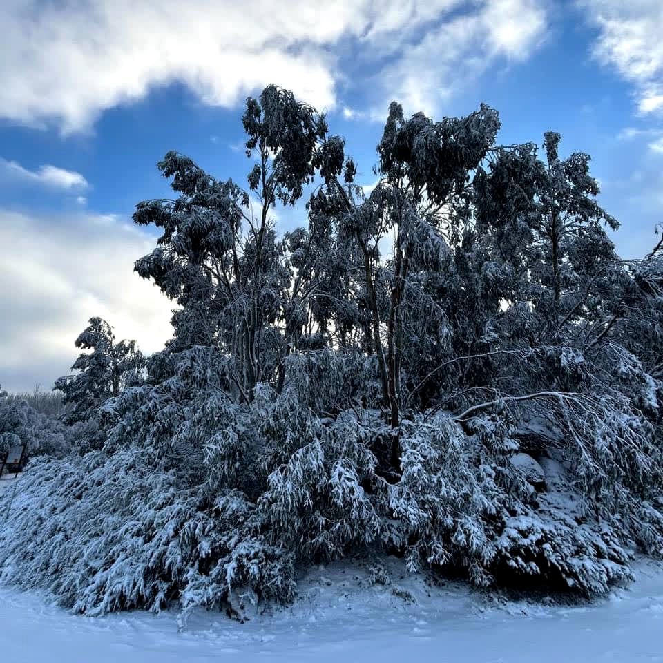 Wonderful Tiny House with Epic Views in Victoria