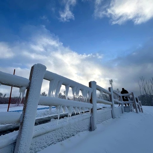 Tiny Houses (Australia, Taggerty, Victoria)