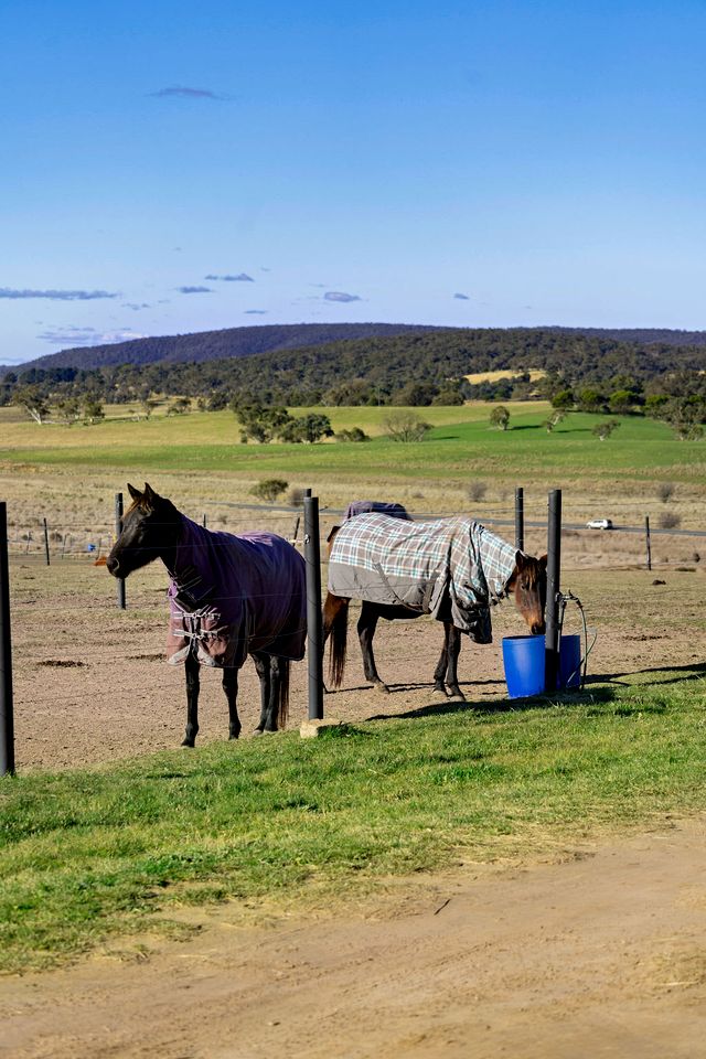Wonderful Tiny House with Stunning Sights and Fire Pit in Towrang, New South Wales
