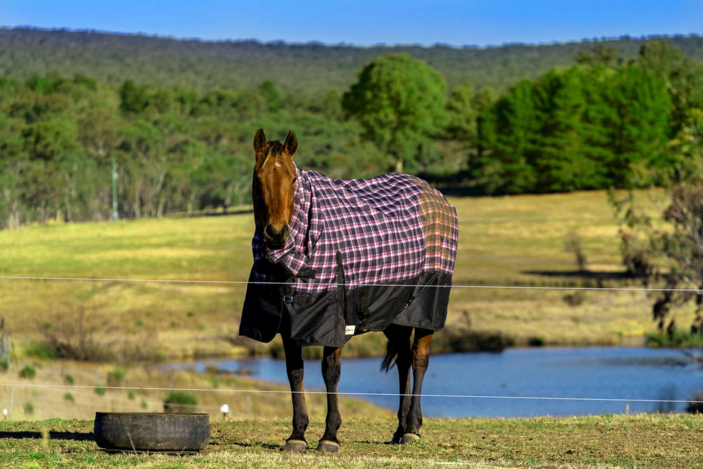Wonderful Tiny House with Stunning Sights and Fire Pit in Towrang, New South Wales