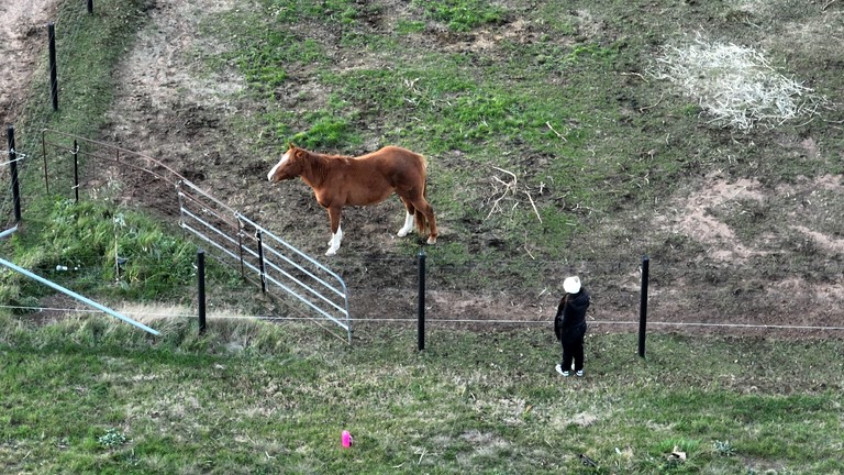 Tiny Houses (Australia, Towrang, New South Wales)