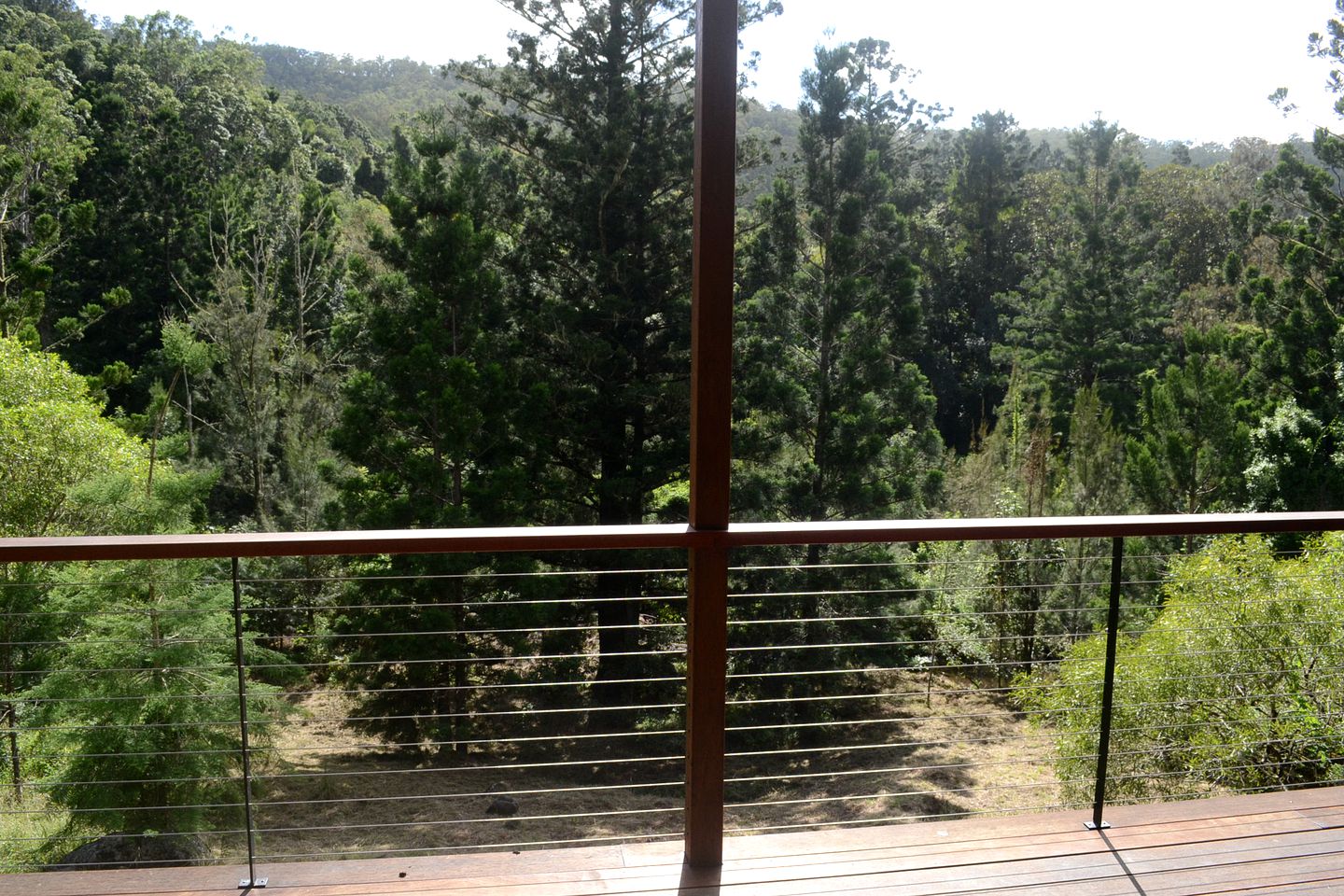 Modern Cabin with Panoramic Nature Views in Lamington, Queensland, Australia