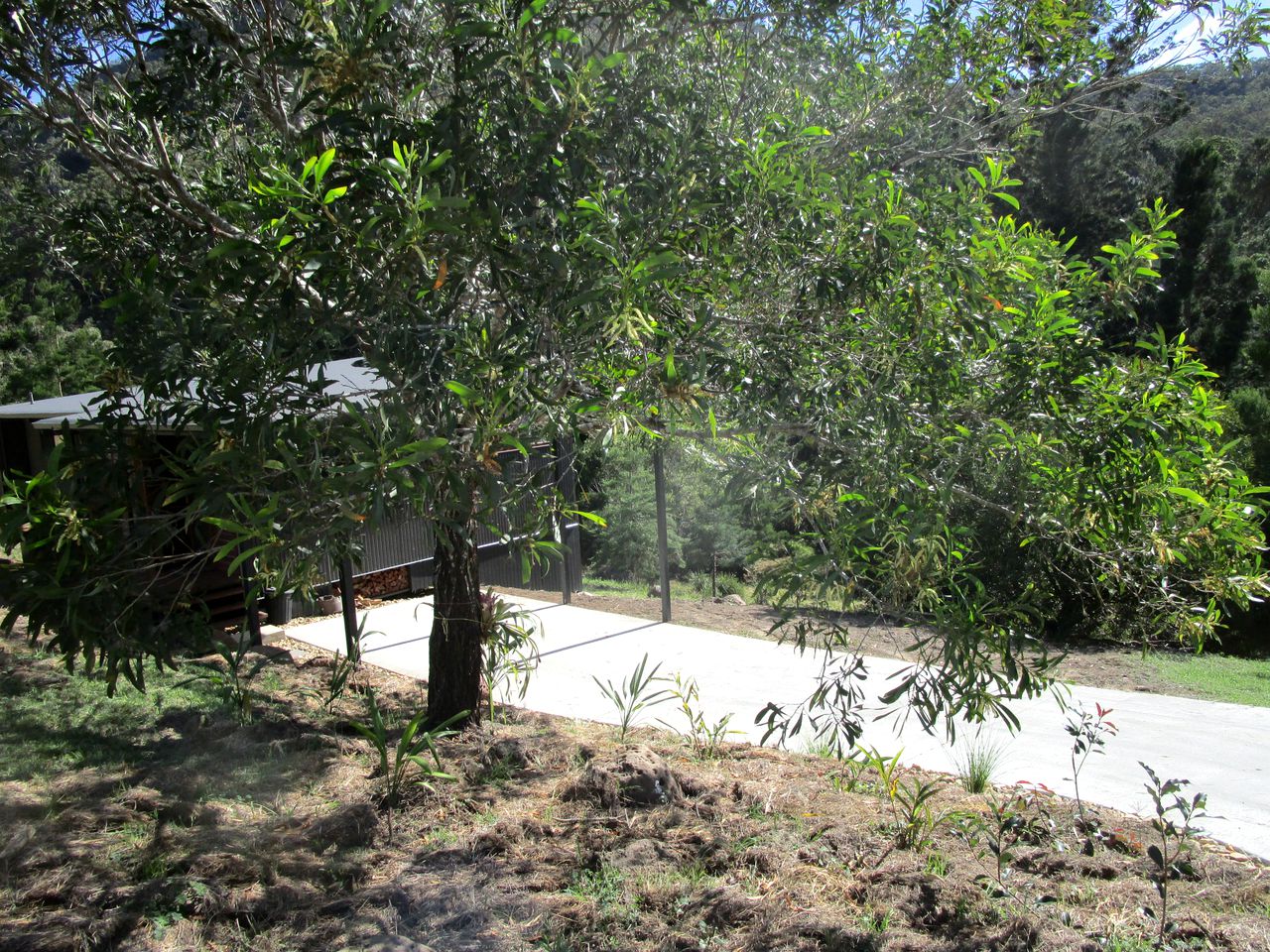 Modern Cabin with Panoramic Nature Views in Lamington, Queensland, Australia