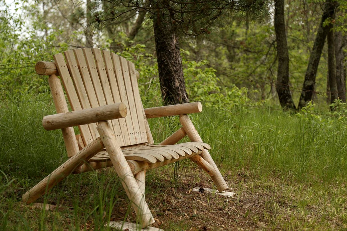 Cozy Cabin Rental with Deck Overlooking a Ravine in Grantsburg, Wisconsin