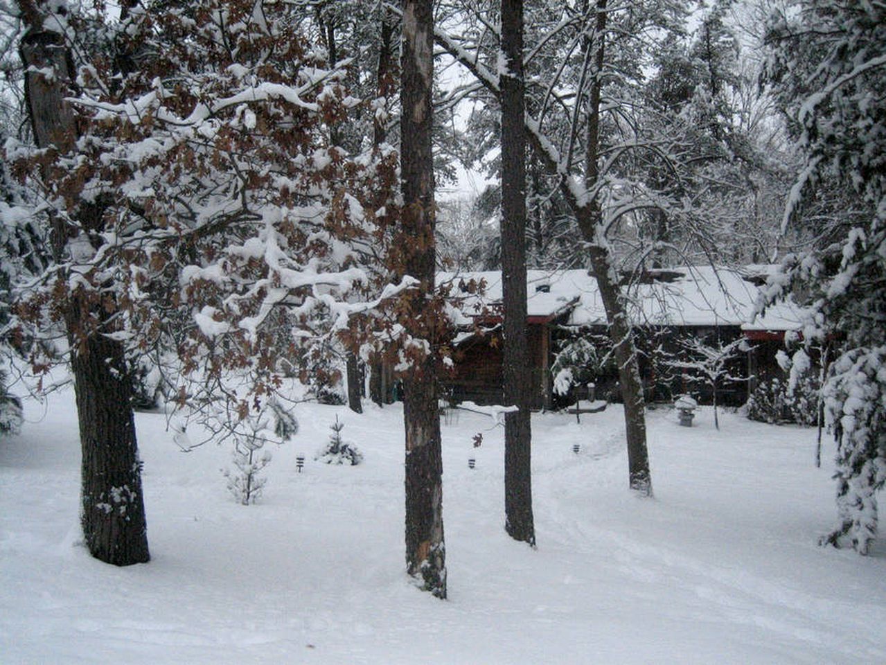 Cozy Cabin Rental with Deck Overlooking a Ravine in Grantsburg, Wisconsin
