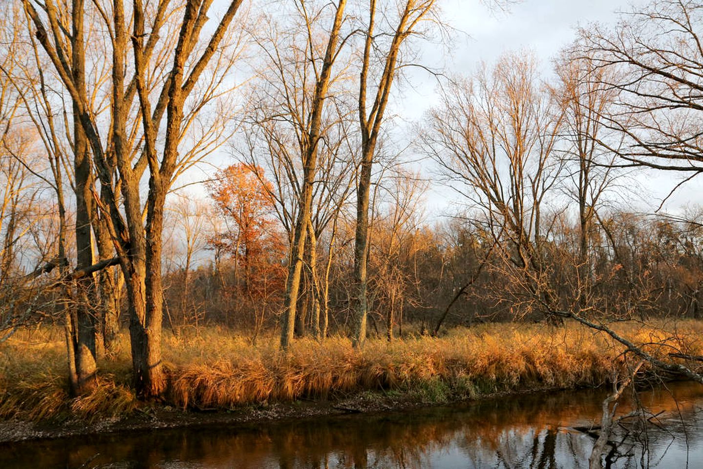 Cozy Cabin Rental with Deck Overlooking a Ravine in Grantsburg, Wisconsin