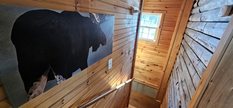 Cabins (United States of America, Greenville, Maine)