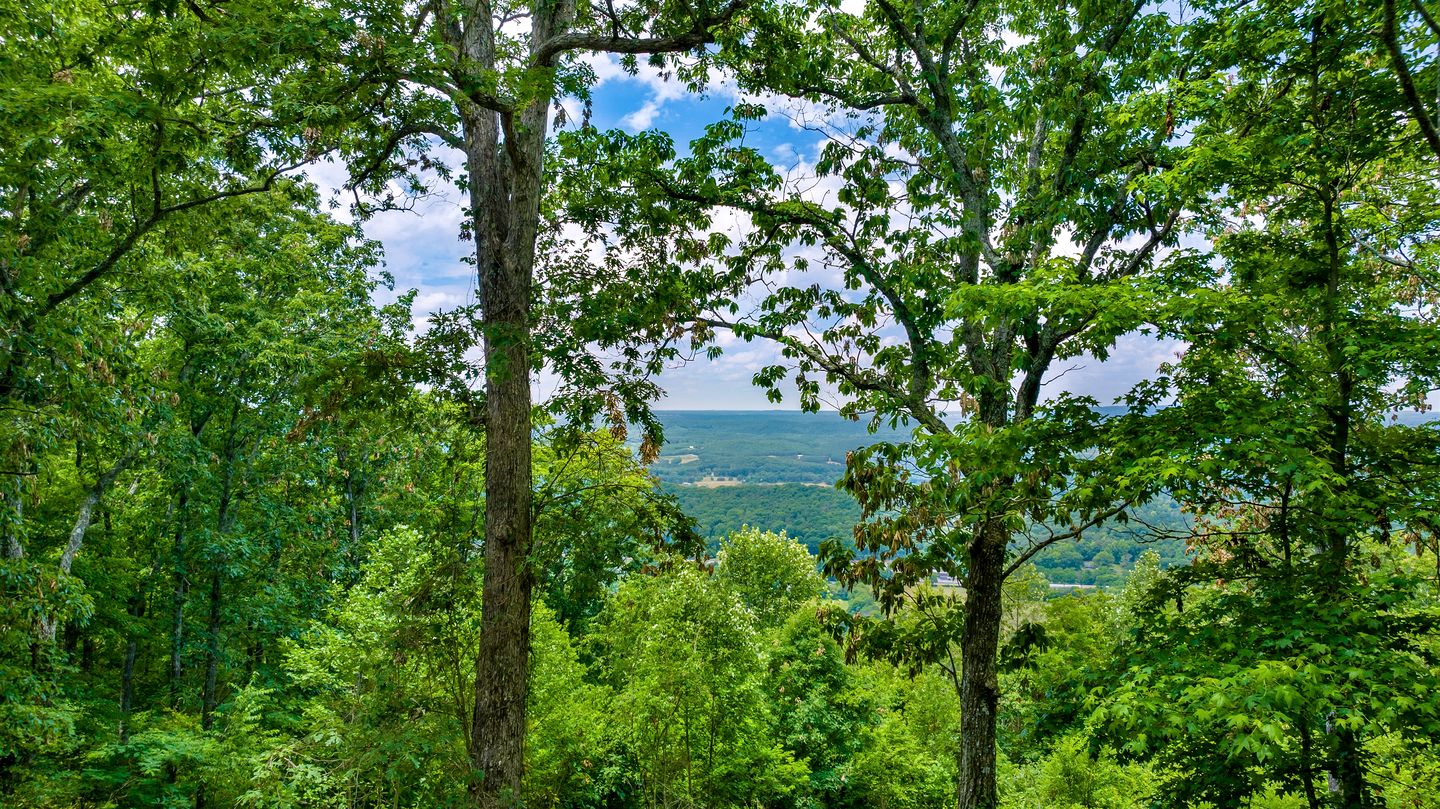 Wooden Cottage with Breathtaking Sunset Views in Mentone, Alabama