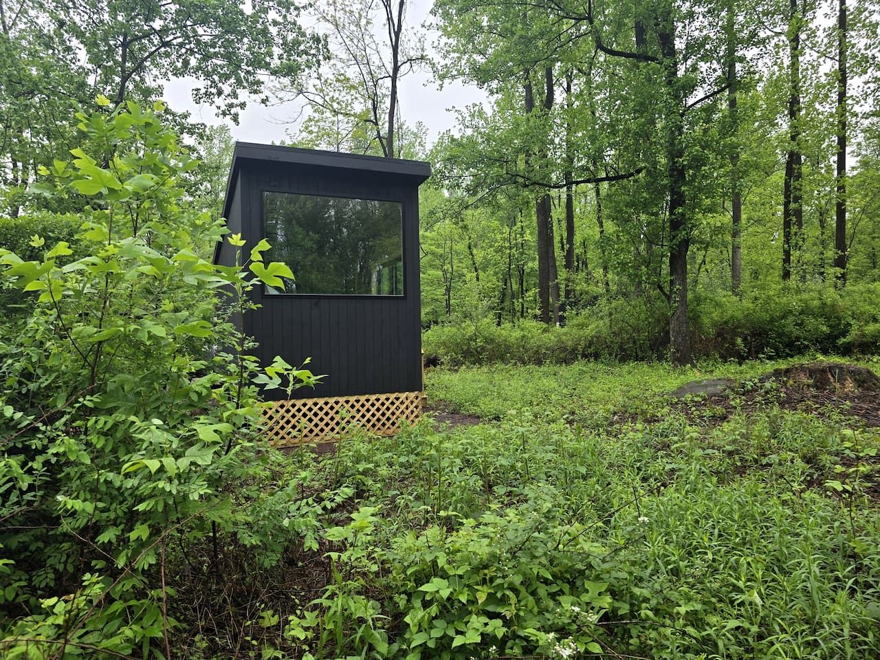 Escape to a Cozy Woodland Tiny Home and a Peaceful Forest Retreat Perfect for Two in Pennsylvania