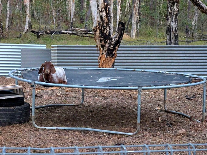 Tiny Houses (Australia, Howard, Queensland)