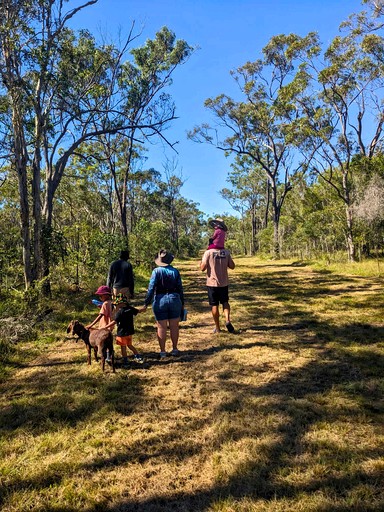 Tiny Houses (Australia, Howard, Queensland)
