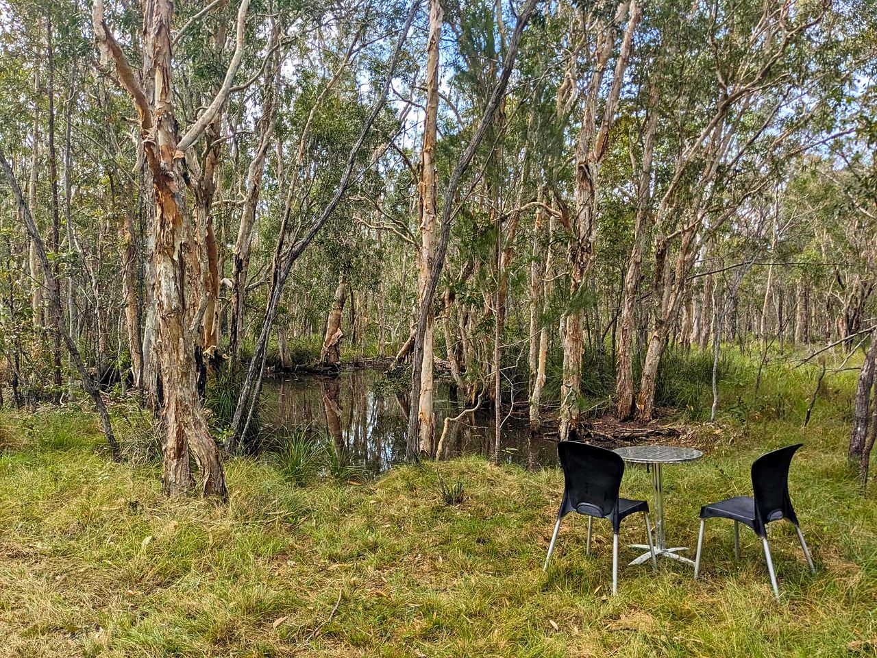 Serene Tiny Home Retreat with Wildlife Farm Stay Near Hervey Bay, Queensland