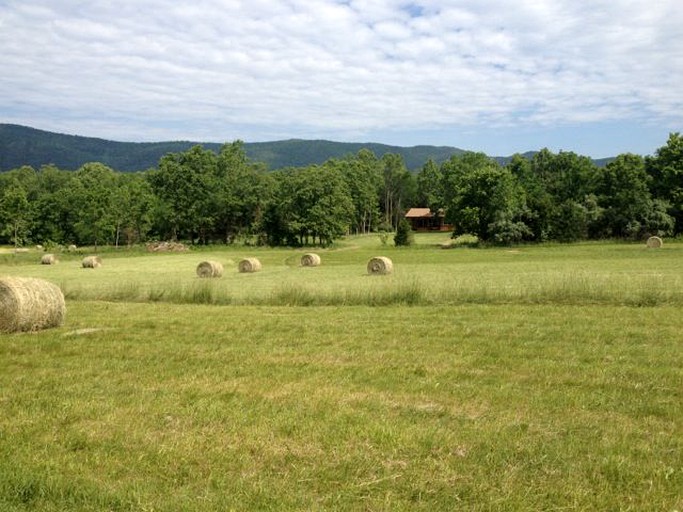 Cabins (Rileyville, Virginia, United States)