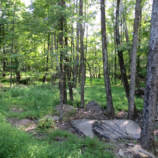 Cabins (Woodstock, New York, United States)