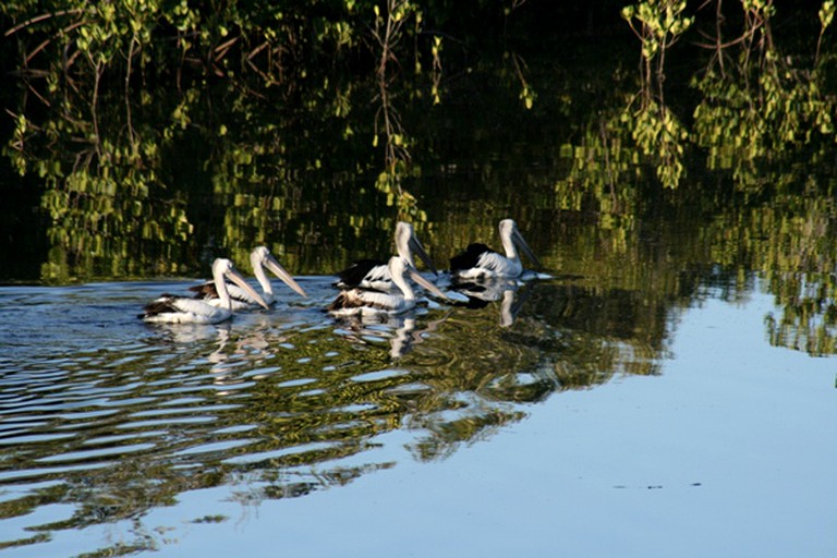 Cabins (Coffs Harbour, New South Wales, Australia)