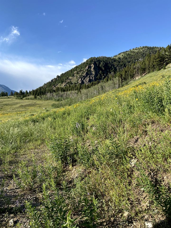 Unique Rustic Barn Retreat with Game Room near Yellowstone in Ennis, Montana
