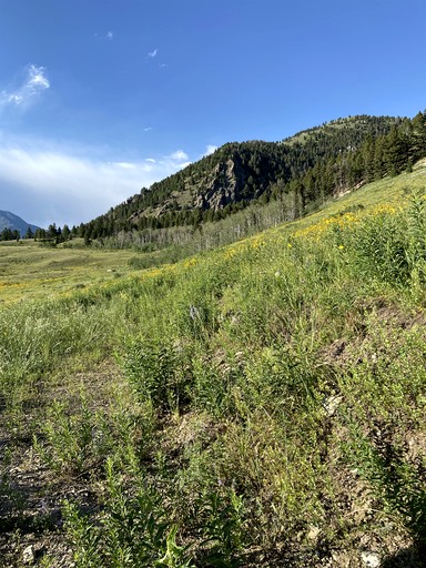Barns (United States of America, Cameron, Montana)