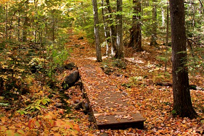 Charming Historic Vacation Rental Surrounded by Nature in Albany, New Hampshire photo 3