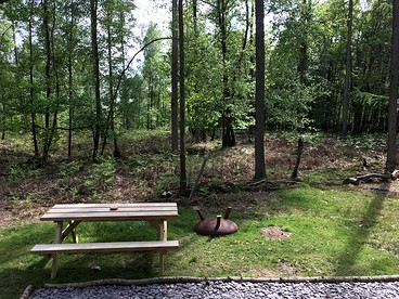 patio photo 2