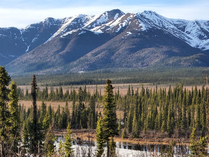 Cabins (United States of America, Nabesna, Alaska)