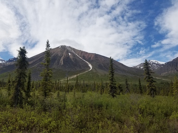 Cabins (United States of America, Nabesna, Alaska)