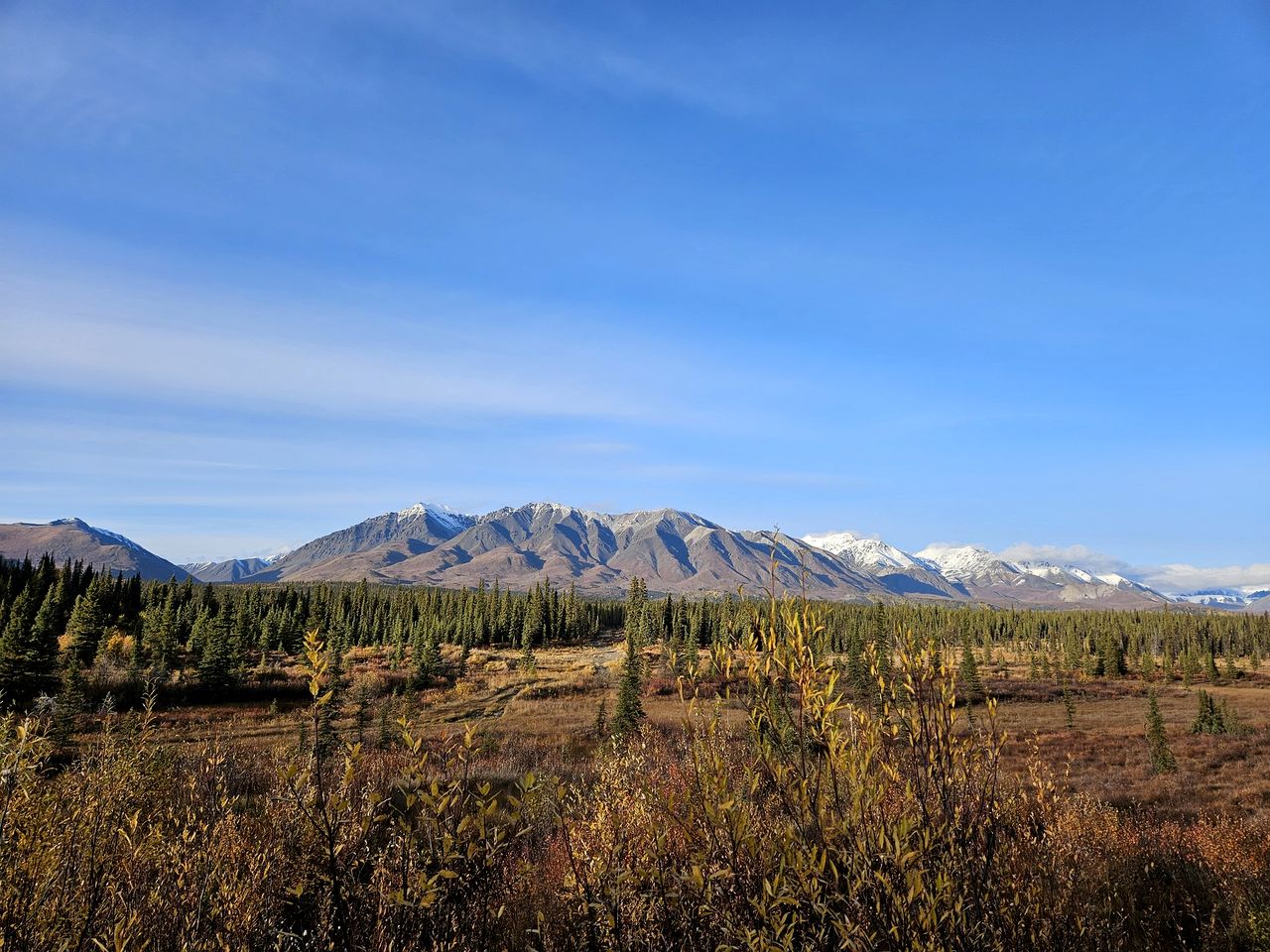 Wrangell Mountains Glamping Cabin, Ideal to Discover the Alaskan Wilderness