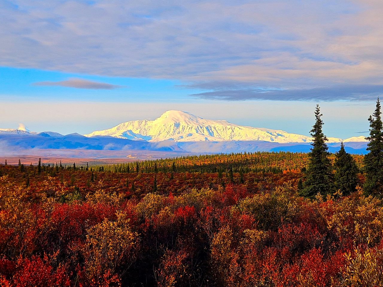 Wrangell Mountains Glamping Cabin, Ideal to Discover the Alaskan Wilderness