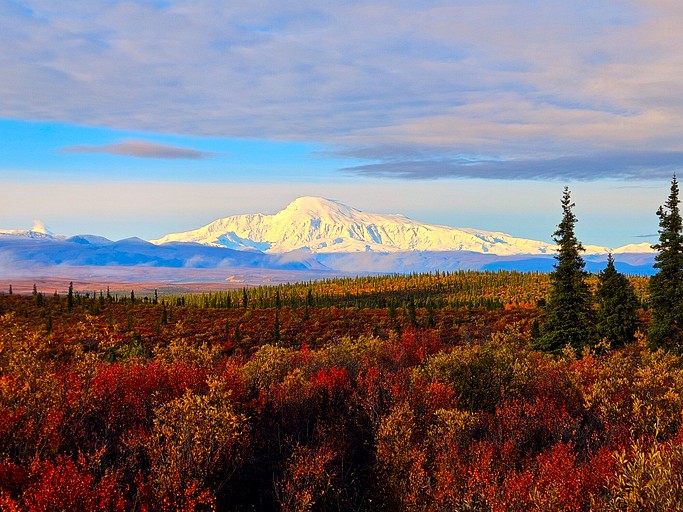 Cabins (United States of America, Nabesna, Alaska)