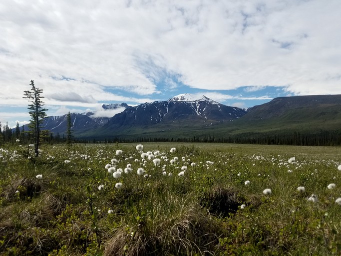 Cabins (United States of America, Nabesna, Alaska)