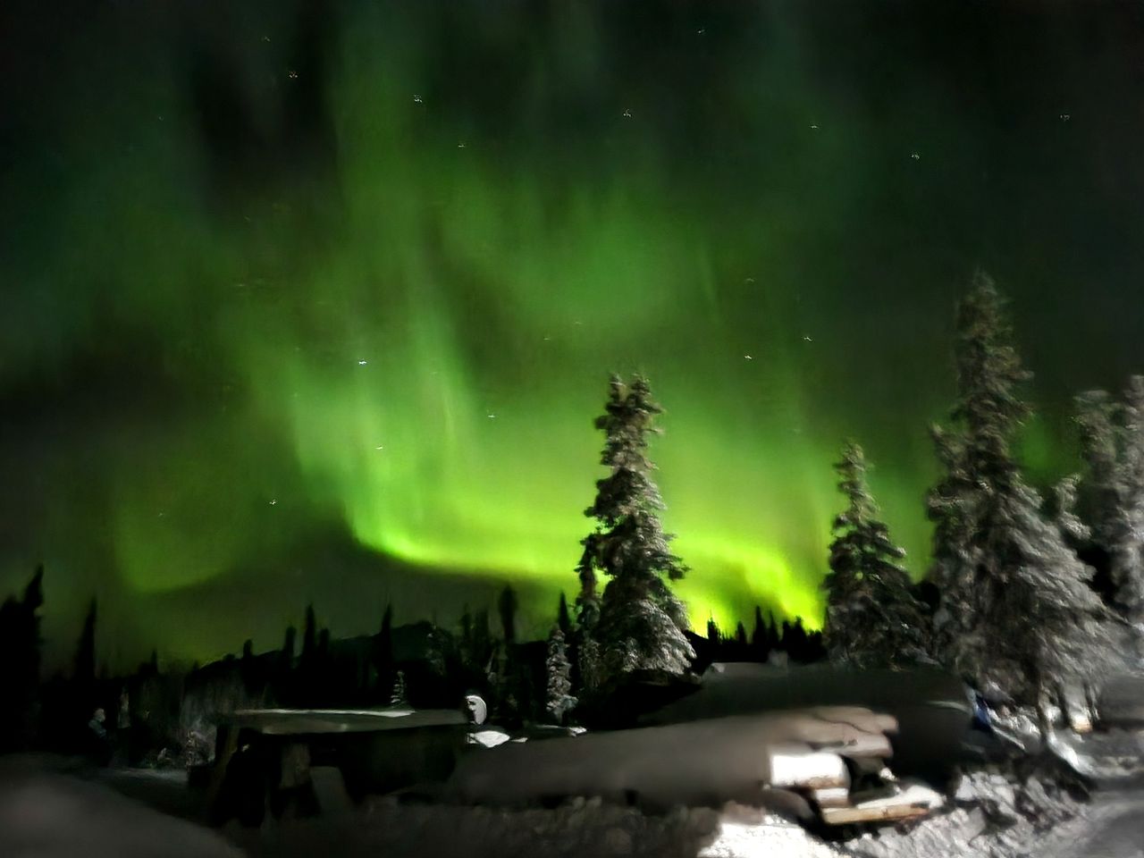 Wrangell Mountains Glamping Cabin, Ideal to Discover the Alaskan Wilderness